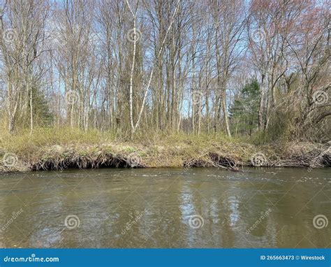 Close Up Shot Of A River After Rain With Naked Trees In Background Stock Image Image Of