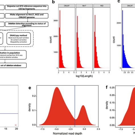 The route map of deletion detection and the estimation of deletion ...
