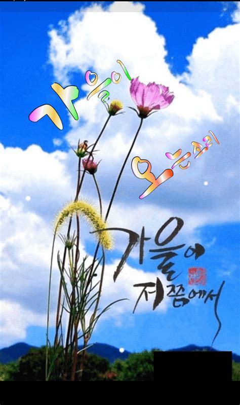 Daum 카페