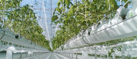 Sandstorm™ Media And Sand Gravel Filters Netafim