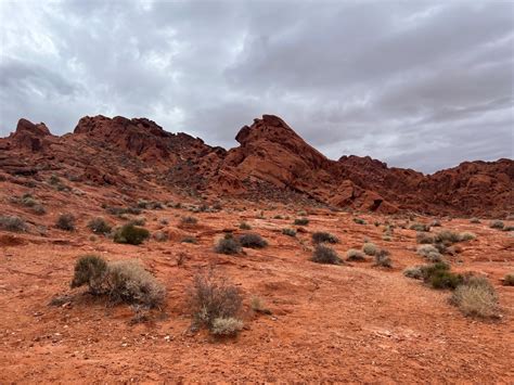 Red Rock Canyon Vs Valley Of Fire My Experience Visiting Both 2024