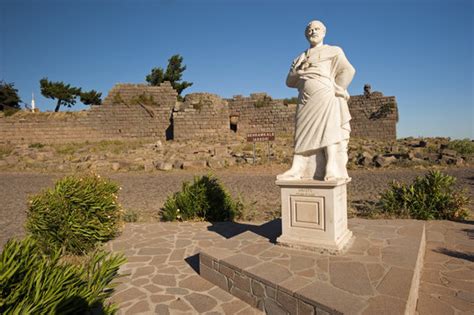 Aristo Bilder – Durchsuchen 279 Archivfotos, Vektorgrafiken und Videos ...