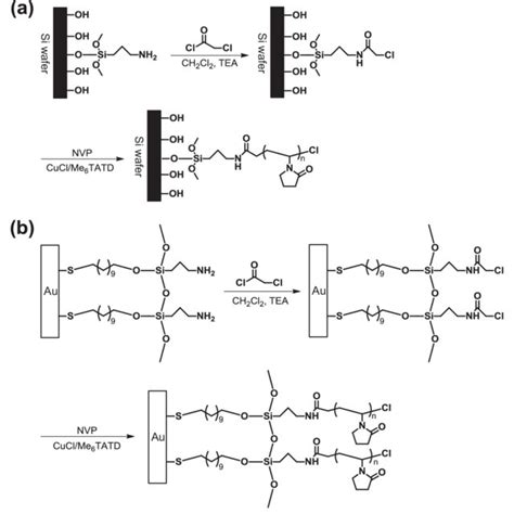 Pdf Recent Progress In Controlled Radical Polymerization Of N Vinyl