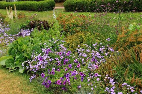 Летники, экспромт на тему | Кустарники, Цветники, Цветник