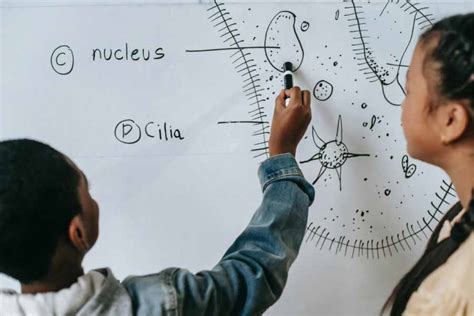 How To Teach Biology Online Master Training Online