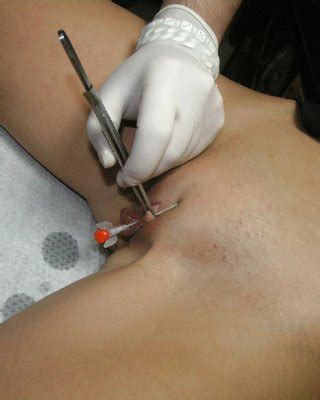 Bulgarian Female Genital Piercing Porn Pictures XXX Photos Sex Images PICTOA