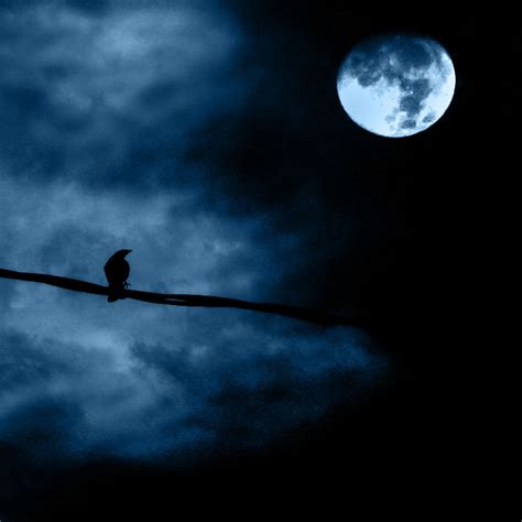 Noche de luna llena - Full moon night | 20 on explore on Sun… | Flickr