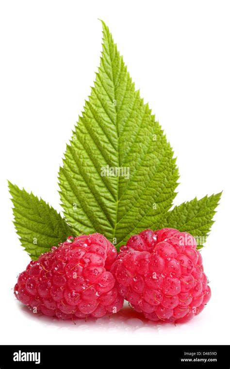 Raspberry fruit hi-res stock photography and images - Alamy