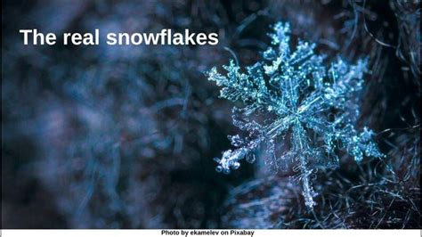 Who da snowflake? You da snowflake!