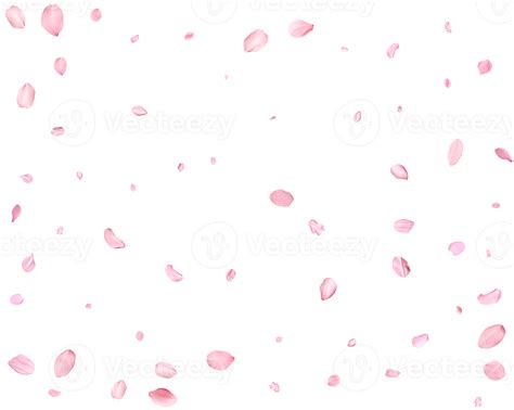 Falling Realistic Sakura Petals 36253329 Png