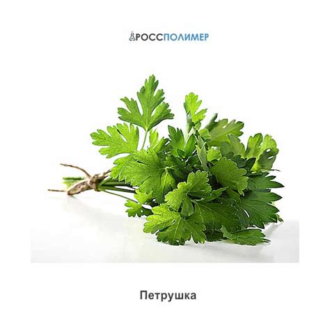 Петрушка купить по цене производителя ☛ Доставка по России ★★★ РоссПолимер