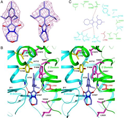 Mechanism For The Inhibition Of The Carboxyltransferase Domain Of