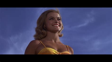 Patron How To Stuff A Wild Bikini Captures