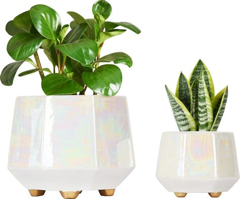 Amazon Coco Andrea Iridescent White Ceramic Inch Plant Pot