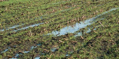Tweede veldbezoek Nude Energie Coöperatie Rhenen