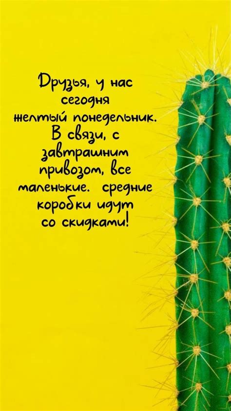 Пахлава Нижнекамск | Tatli Turkiye | ВКонтакте