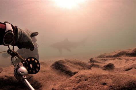 Always lurking just out of sight : r/diving