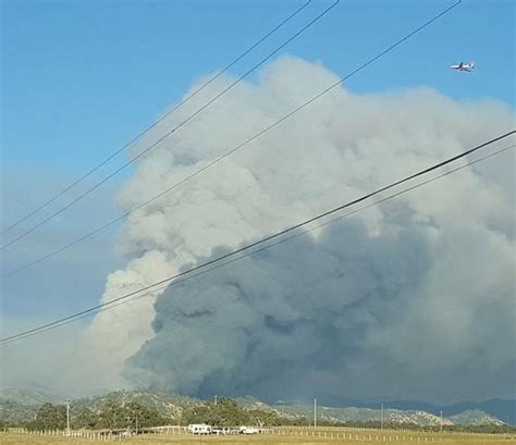 Best Mariposa Images On Pholder Brawlstars Star V Sthe Forcesof Evil And Pan Porn