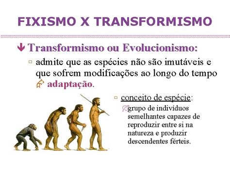 Fixismo E Transformismo - EVOLUO EVIDNCIAS E TEORIAS FIXISMO X TRANSFORMISMO Fixismo
