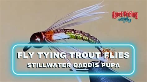 Fly Tying Trout Flies Pro Staff On The Bench Stillwater Caddis Pupa