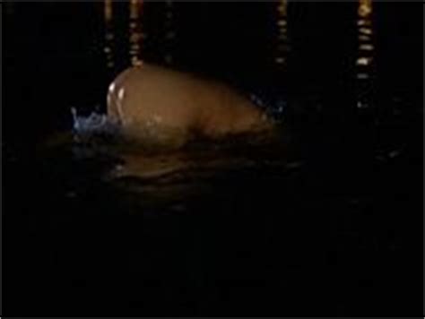 Naked Brooke Nevin In Sherman S Way