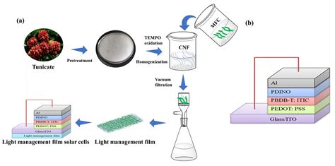 All Tunicate Cellulose Film With Good Light Management Properties For