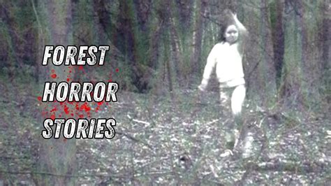 Scary True Forest Horror Stories Youtube