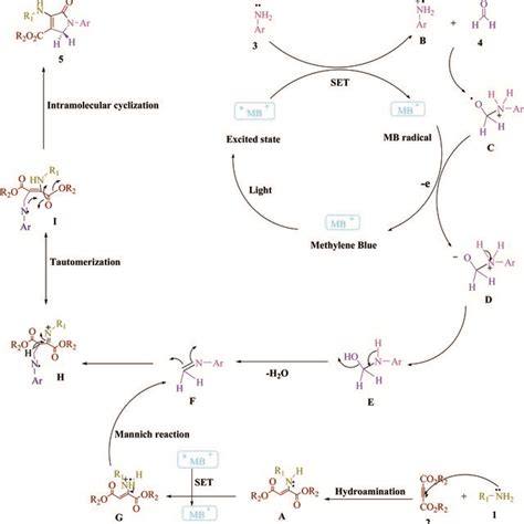 The Proposed Mechanistic Pathway To Synthesize The Polyfunctionalized