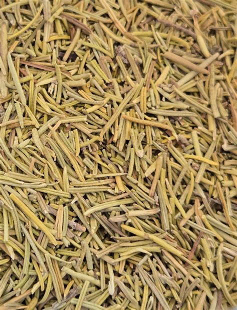 Rosemary (Rosmarinus officinalis) - Spring To Health