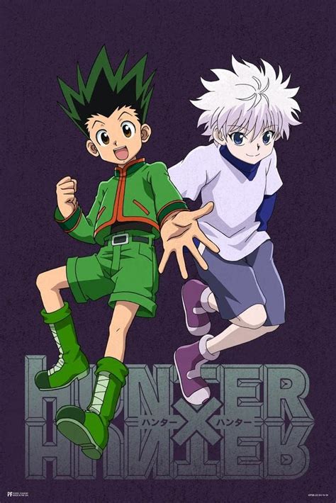 Hunter X Hunter Anime Merch Movie Posters Graphic Gon