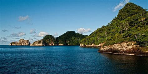 Parque Nacional Isla Del Coco Celebró 40 Años Faico Amigos De La