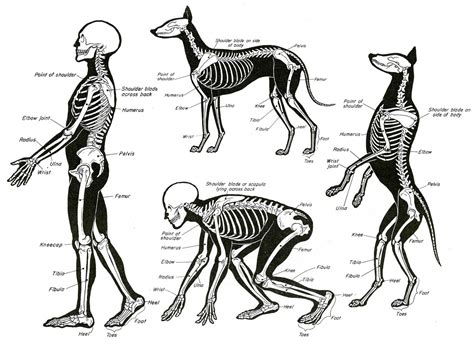 Academy Of Art Character And Creature Design Notes A Study In