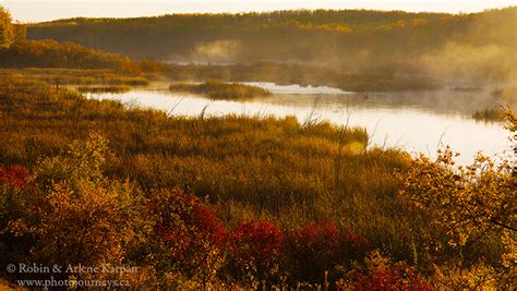 New Saskatchewan Fall Colours For 2017 Photo Journeys
