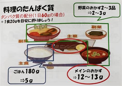 透析治療中のたんぱく質摂取量ってどれくらい？ | 腎臓内科医のつぶやき