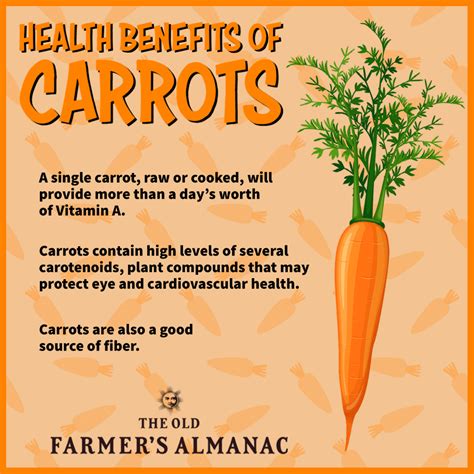 Carrots Health Benefits Almanac