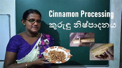 Cinnamon Processing Youtube