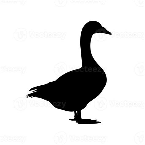 Ganso Silueta Aislado 24483631 Png