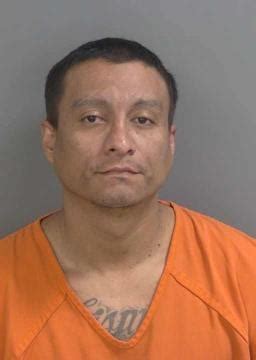 Collier County Arrests & Mugshots