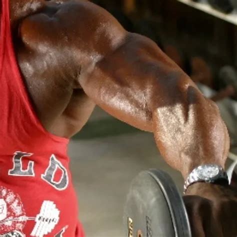 Dude Suck My Dick Gay Man Porn XHamster