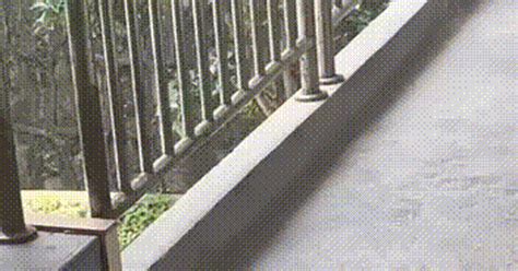 Топтыжка | Пикабу