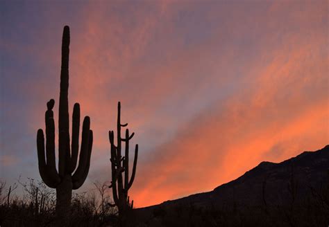 Zillow Oracle Junction Az at Jason Criner blog