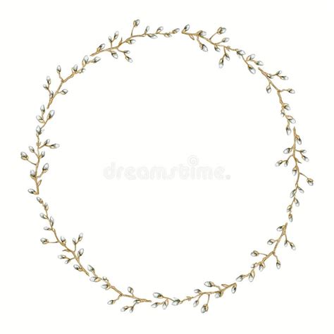 Branches Of Pussy Willow Stock Illustration Illustration Of Tree