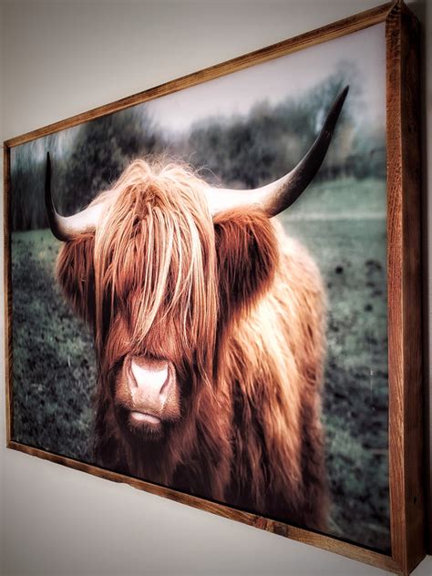 Highland Cow Framed - Aries Den