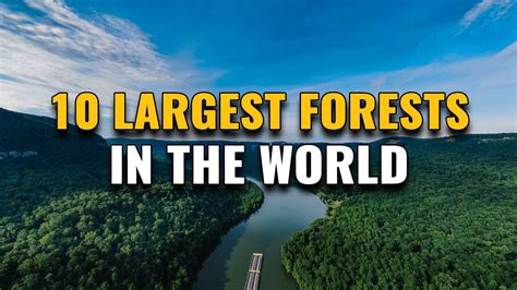 Top Largest Forests In The World Youtube