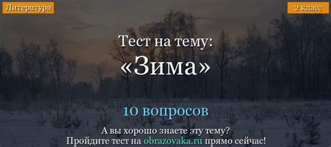 Тест по литературе Зима (2 класс)