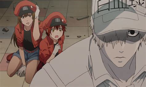 Episode 2 Cells At Work Wiki Fandom