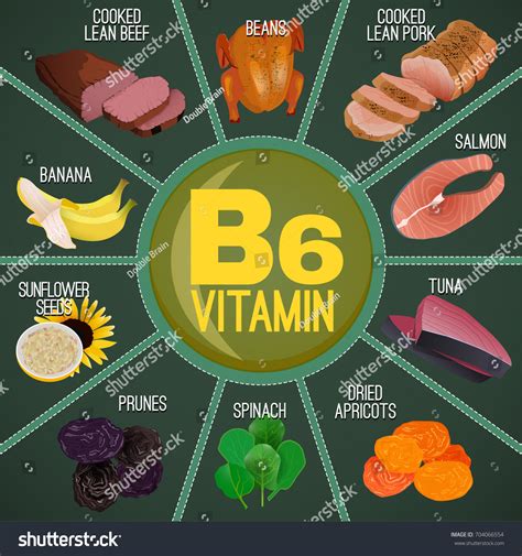 High Vitamin B6 Foods Healthy Fruits Stock Vector (Royalty Free ...