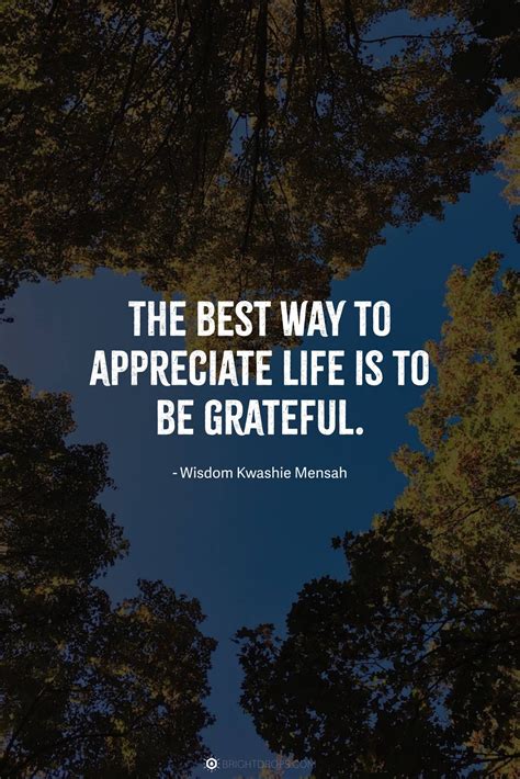 Appreciate Life Quotes