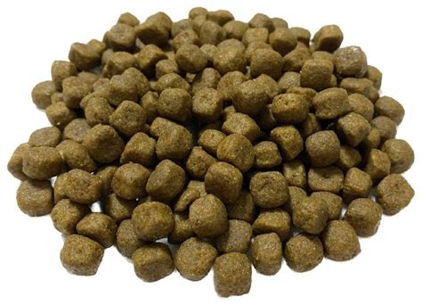 Купить Royal Canin Maine Coon для мейн кунов 1 кг в кредит в Алматы ...