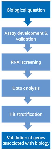 Functional Genomic Screening - Types & Formats of Libraries